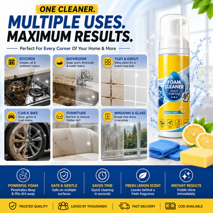 MULTI-PURPOSE STAIN REMOVER